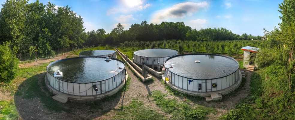 استخر ژئوممبران - دهقان کشت